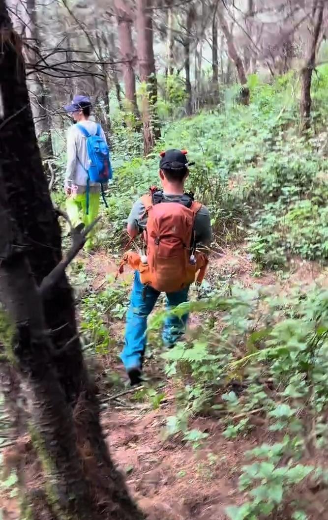 云南大理一7歲小孩在蒼山走失云南大理一7歲小孩蒼山走失的驚險經(jīng)歷與搜救行動