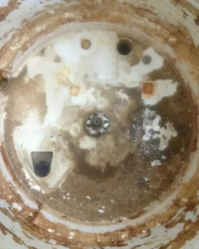 雞蛋真的越洗越臟嗎揭秘真相，雞蛋真的越洗越臟嗎？
