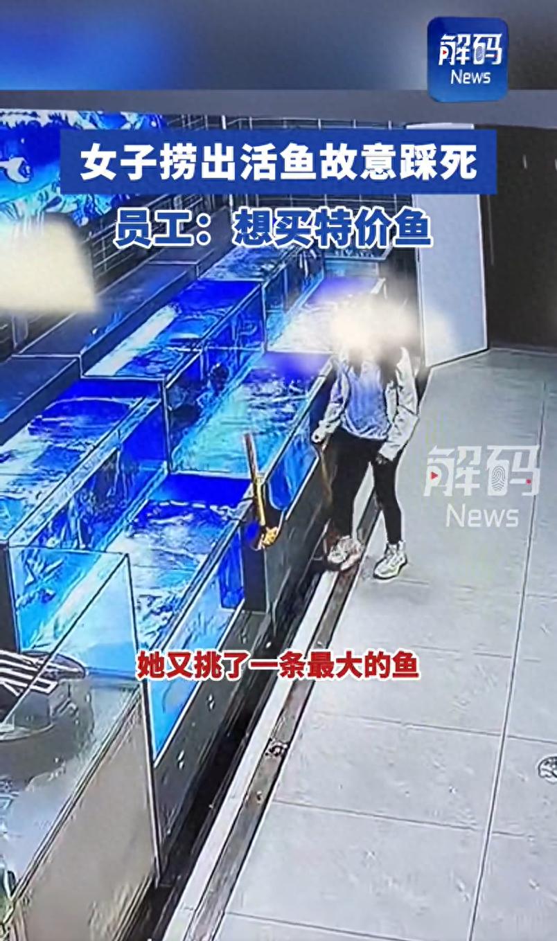 為買特價(jià)魚將魚踩死在購買特價(jià)魚時(shí)，將魚踩死是不明智的行為。這不僅可能導(dǎo)致商家無法出售這條魚，還可能引發(fā)其他消費(fèi)者的不滿和指責(zé)。更重要的是，這種行為可能違反了商業(yè)道德和社會(huì)公德。商家通常會(huì)盡力確保商品的質(zhì)量和安全，而消費(fèi)者也應(yīng)該尊重商家的努力并遵守商業(yè)規(guī)范。