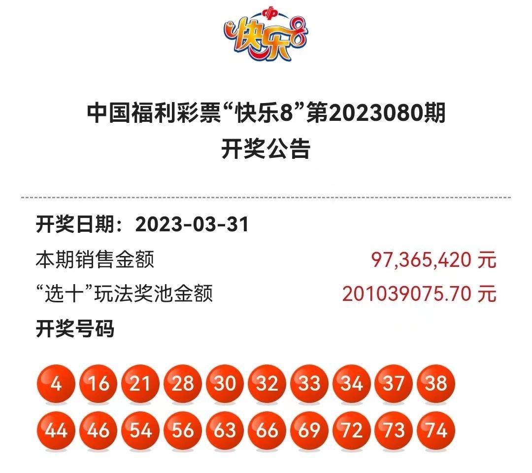 極速開獎盡在掌握，探索800圖庫的無限魅力，極速開獎與800圖庫的魅力探索，盡在掌握的無盡探索