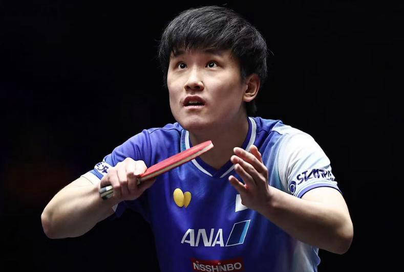 王楚欽對(duì)張本智和八連勝終結(jié)王楚欽對(duì)張本智和八連勝終結(jié)，賽場(chǎng)風(fēng)云解析