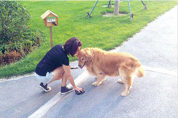 烈犬咬死人 狗主人獲刑6年半烈犬咬人致死事件，狗主人的法律責(zé)任與后果