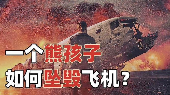 熊孩子導致飛機墜毀熊孩子導致飛機墜毀，深度解析事件背后的真相與啟示