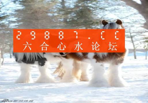 今晚必中一肖一碼四不像，揭秘彩票的神秘面紗，揭秘彩票神秘面紗，今晚必中一肖一碼四不像