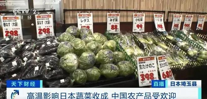 中國蔬菜出口日本中國蔬菜出口日本的現(xiàn)狀與發(fā)展前景