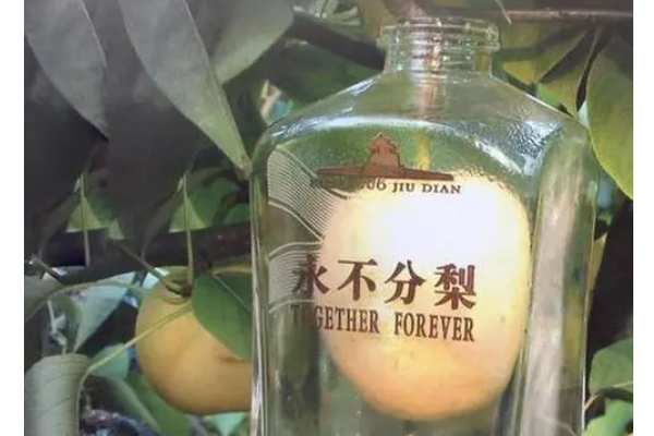 娛樂生活 第181頁(yè)
