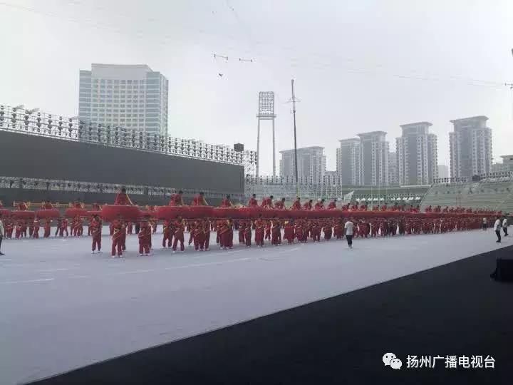 港澳寶典66039cm查詢全攻略，港澳寶典66039cm查詢攻略全解析