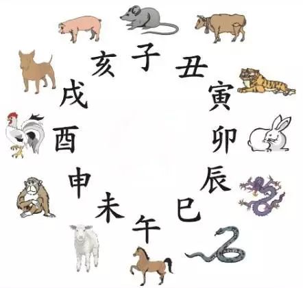 澳門天天彩期期精準(zhǔn)十二生肖，揭秘彩票背后的秘密，揭秘彩票背后的秘密，澳門天天彩期期精準(zhǔn)的十二生肖預(yù)測
