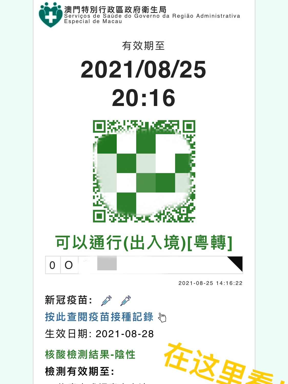 澳門旅游最新政策，澳門旅游最新政策解讀