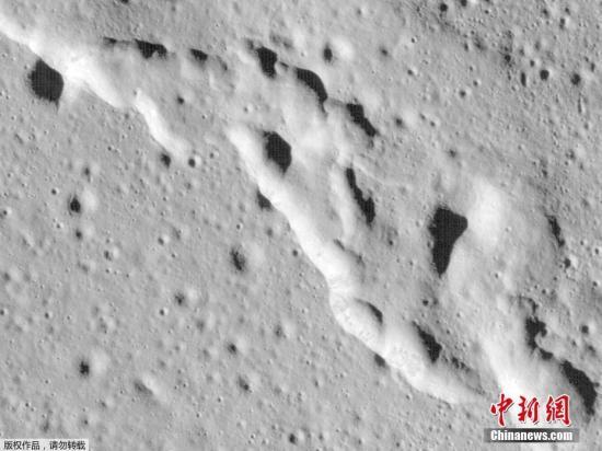 2025最全免費(fèi)資料大全，2025最新免費(fèi)資料大全，一站式獲取資源平臺(tái)