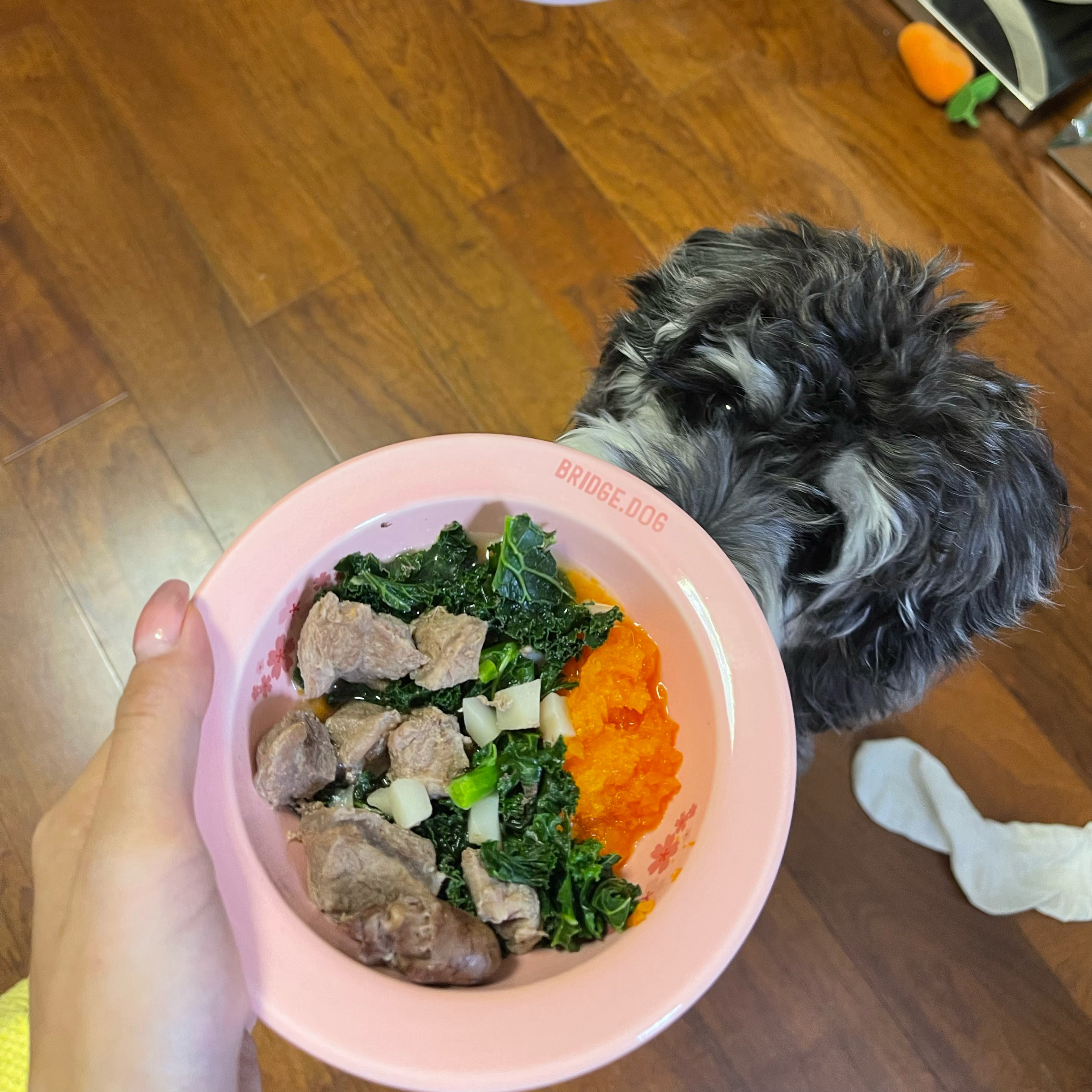 點拼好飯被罵狗飯點拼好飯，一場誤解引發(fā)的爭議與反思
