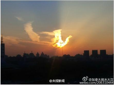 4449999火鳳凰論壇大全，網(wǎng)絡(luò)熱議的聚集地，4449999火鳳凰論壇大全，網(wǎng)絡(luò)熱議的匯聚之地