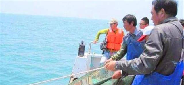 漁民多次撈到間諜魚漁民在捕魚過程中多次捕獲所謂的間諜魚這一現(xiàn)象，可能與多種因素有關。以下是一些可能的解釋
