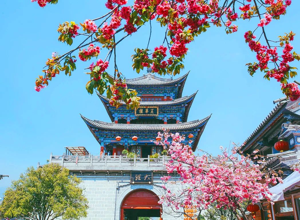 大理整治“采菌游”大理整治采菌游，守護(hù)自然生態(tài)，共創(chuàng)和諧旅游環(huán)境