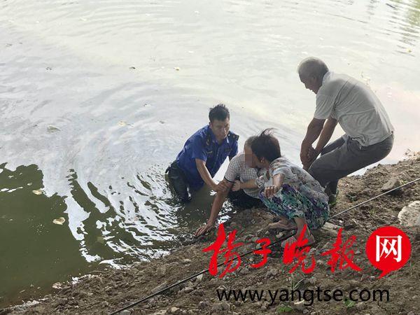 落水老人施救溺亡關(guān)于落水老人施救溺亡的事件，我們可以從多個角度來探討這個問題。