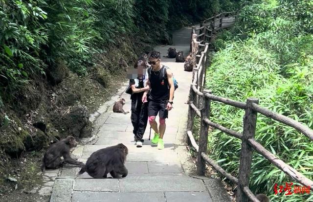 揭秘峨眉山陪爬團(tuán)隊(duì):九成游客為女性揭秘峨眉山陪爬團(tuán)隊(duì)，九成游客為女性