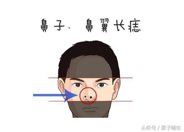 熱點(diǎn)生活 第138頁(yè)