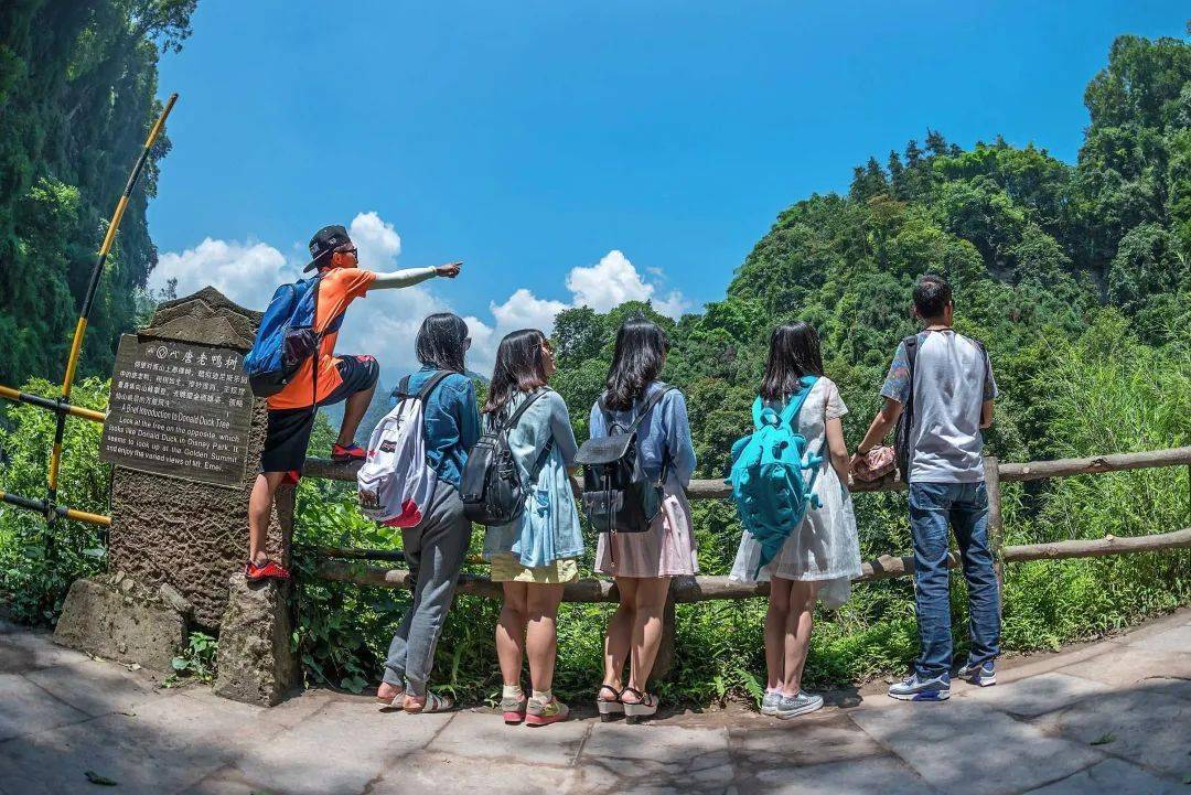 揭秘峨眉山陪爬團(tuán)隊(duì):九成游客為女性揭秘峨眉山陪爬團(tuán)隊(duì)，女性游客占據(jù)九成