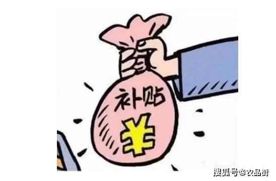 補貼都有哪些揭秘補貼的多樣面貌，補貼都有哪些