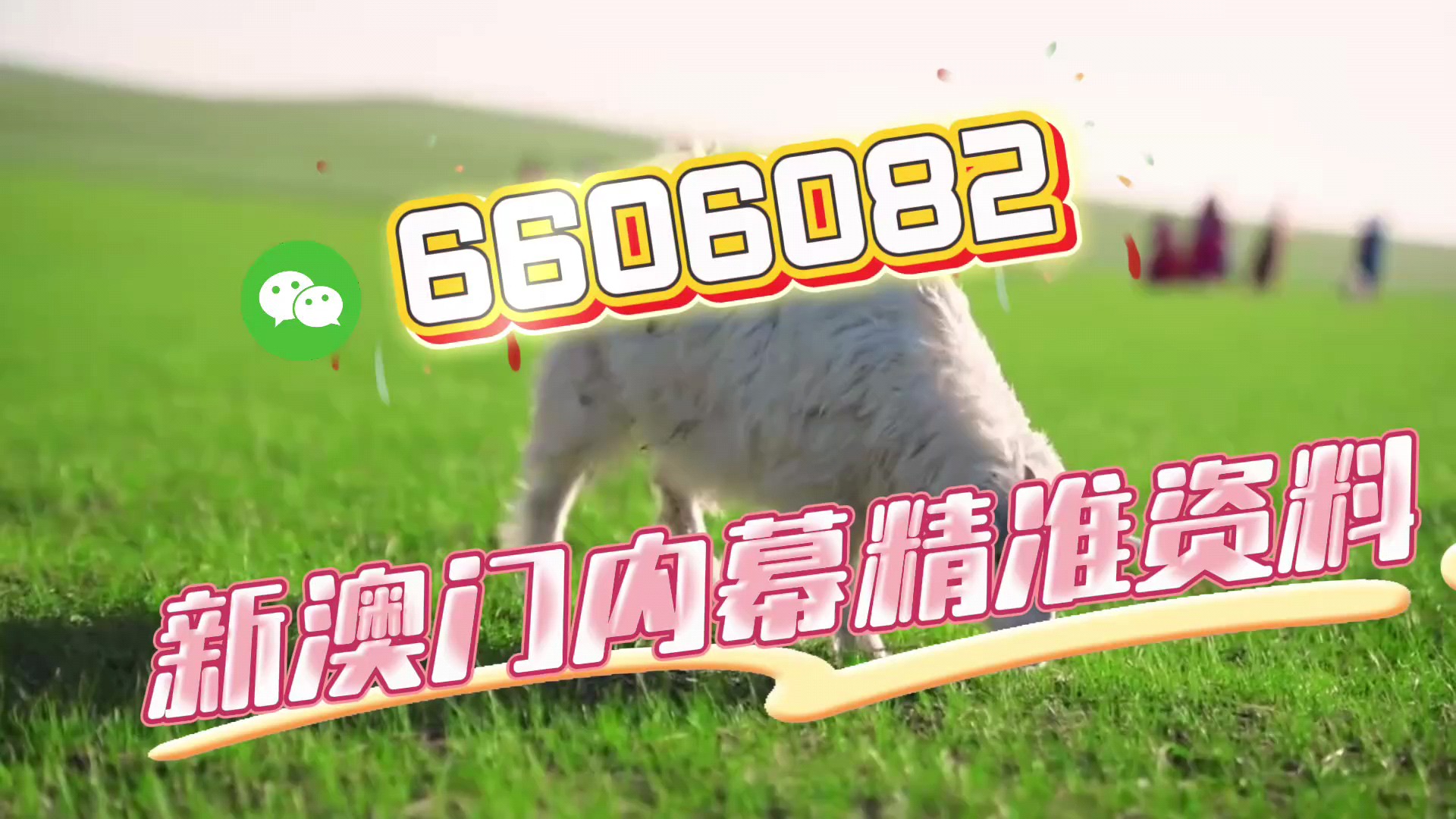 揭秘最準(zhǔn)一肖一碼一一中一特，揭秘最準(zhǔn)一肖一碼，揭秘一一中一特真相