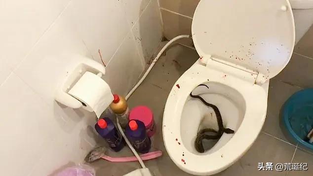 男子上廁所被蛇咬如果一個男子在上廁所時被蛇咬了，他需要立即采取一些緊急措施。以下是一些建議