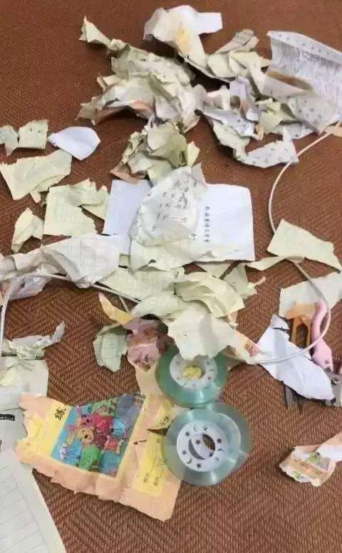 暑假作業(yè)被狗撕碎暑假作業(yè)慘遭狗兒撕碎的無奈經(jīng)歷與應(yīng)對策略