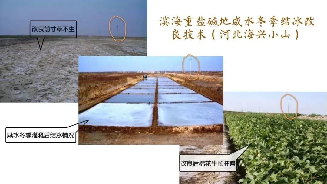 用吸管修復(fù)鹽堿地好嗎使用吸管修復(fù)鹽堿地可能并不是一個(gè)有效的方法。