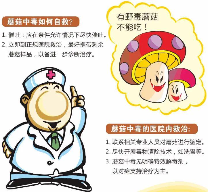 食蘑菇中毒如何處理?食蘑菇中毒應(yīng)急處理指南，如何應(yīng)對(duì)蘑菇中毒危機(jī)