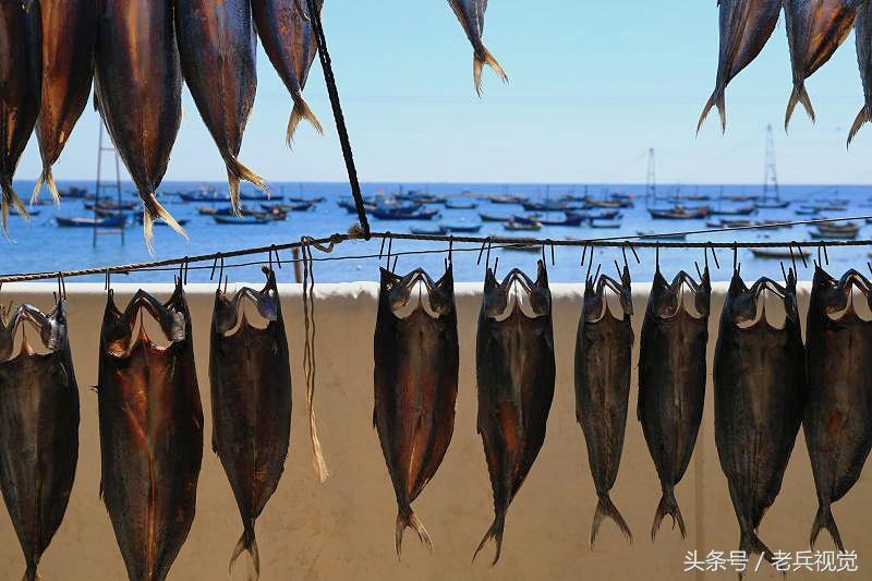 黃渤海區(qū)3萬(wàn)余艘漁船爭(zhēng)“鮮”出海黃渤海區(qū)3萬(wàn)余艘漁船爭(zhēng)鮮出?！Ｑ蟛稉茦I(yè)的繁榮景象