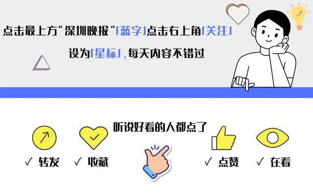流浪狗到商店乞食 生下小狗托付老板流浪狗在商店的溫馨故事，乞食、生育與托付的感人瞬間