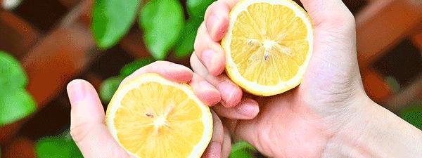 游戲?qū)ｎ} 第113頁
