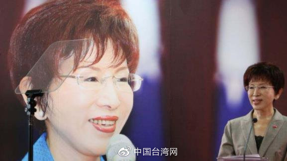 洪秀柱為何不參選2020洪秀柱在2020年并未參選任何公職。至于她為何沒有參選的原因，可能有多種因素。以下是一些可能的因素