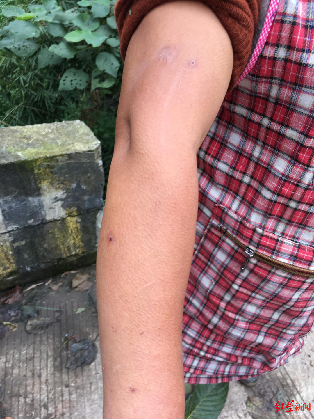 兩兒童遭蜂群蜇傷身亡 養(yǎng)蜂人被立案兩兒童遭蜂群蜇傷身亡，養(yǎng)蜂人被立案——事件深度解析與反思