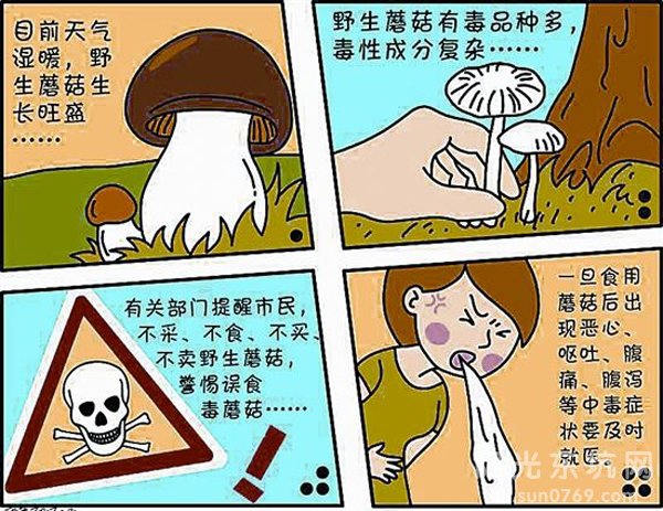 在國外誤食毒蘑菇怎么處理在國外誤食毒蘑菇怎么辦？全面的應(yīng)急處理指南