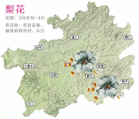 貴州十里花海在哪里貴州十里花海究竟在哪里？人間仙境般的絕美景色等你來探尋！