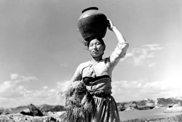 再說(shuō)一遍 不是“機(jī)器狗”揭秘真相，那些所謂的機(jī)器狗并非真實(shí)存在，真相究竟如何？