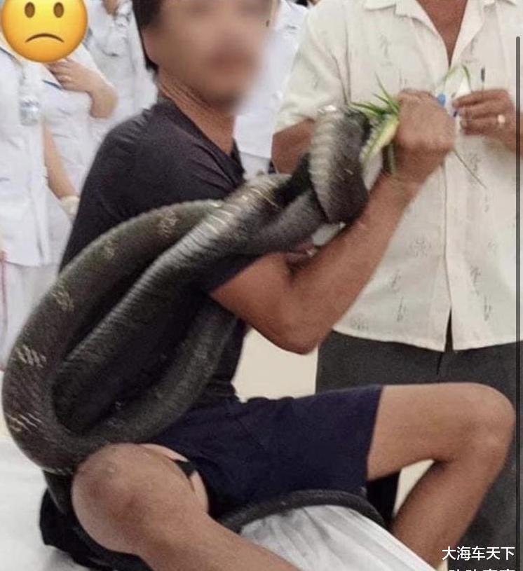 男子誤將眼鏡王蛇掛脖玩耍 被咬身亡男子誤將眼鏡王蛇掛脖玩耍引發(fā)悲劇，被咬后不幸身亡