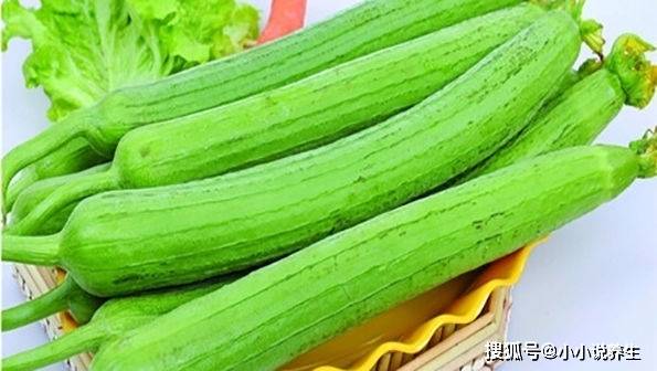 絲瓜湯是什么梗揭秘絲瓜湯背后的網(wǎng)絡(luò)梗源