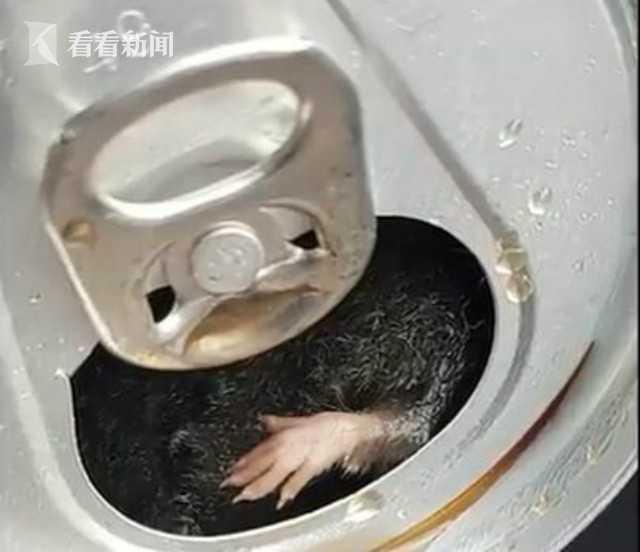 男子將死老鼠放飲料機(jī)上被刑拘男子將死老鼠放飲料機(jī)上被刑拘，事件解析與反思