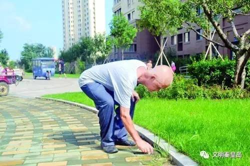 老人在小區(qū)撿垃圾犯法嗎老人在小區(qū)撿垃圾是否犯法？解讀相關(guān)法律規(guī)定與實(shí)際操作建議