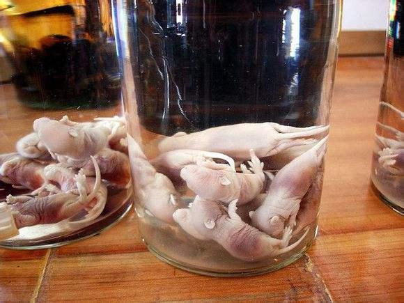 將老鼠放飲料機被拘將老鼠放飲料機被拘事件，深度解析背后的故事