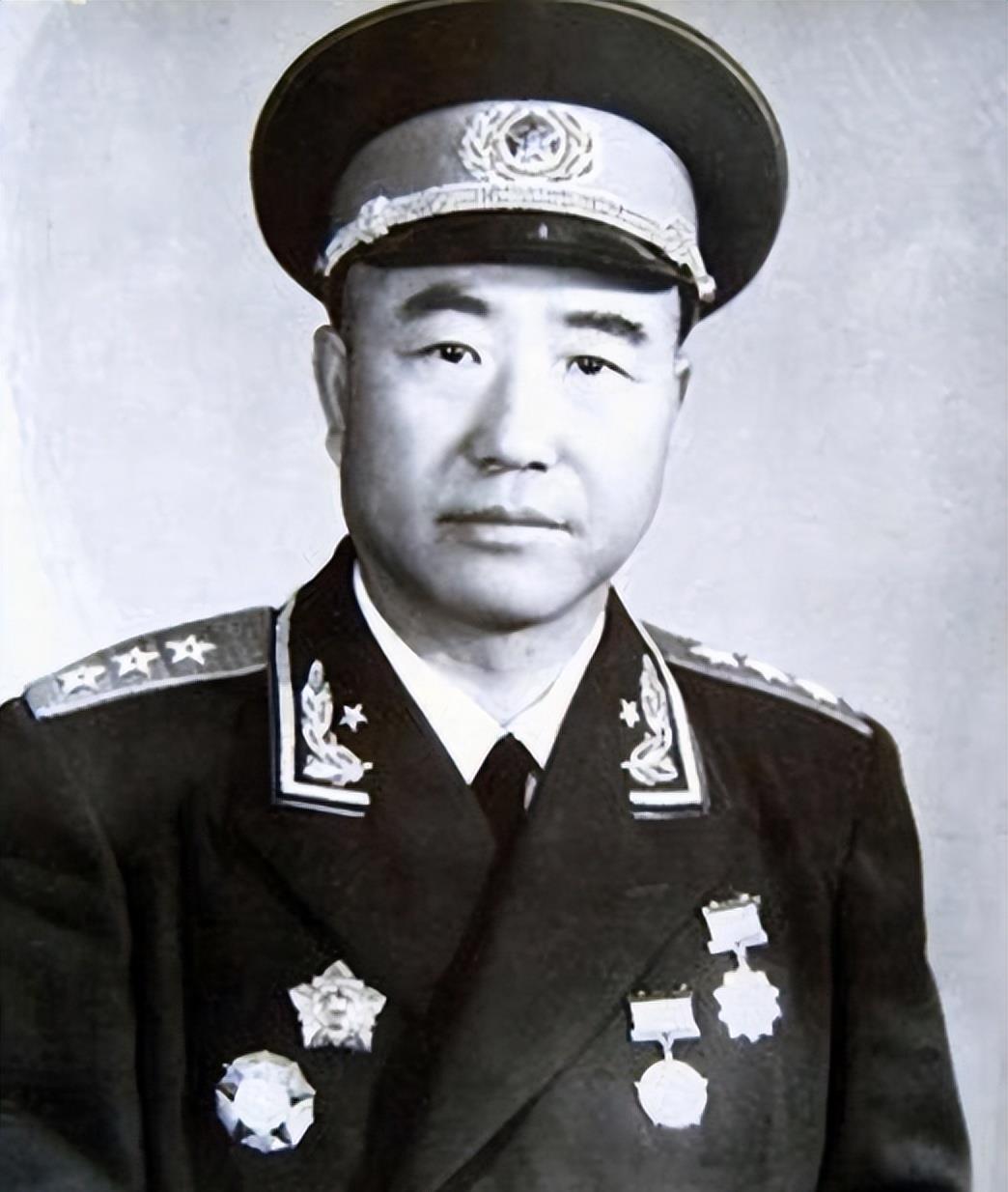 8萬羽和平鴿是如何找到家的？和平鴿歸巢，一場關(guān)于遷徙與家園的奇跡之旅