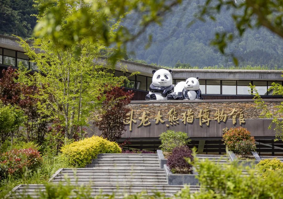 平武熊貓公園保護(hù)區(qū)范圍平武熊貓公園保護(hù)區(qū)范圍，守護(hù)大熊貓的家園