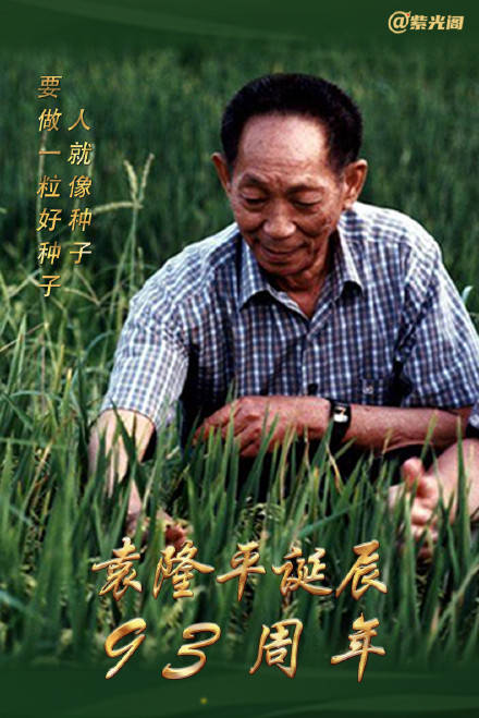 袁隆平誕辰95年袁隆平誕辰95年，緬懷雜交水稻之父的偉大貢獻(xiàn)