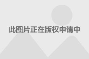 上海豪宅成交2020上海豪宅成交報(bào)告，揭秘2020年市場(chǎng)走勢(shì)與熱門區(qū)域分析