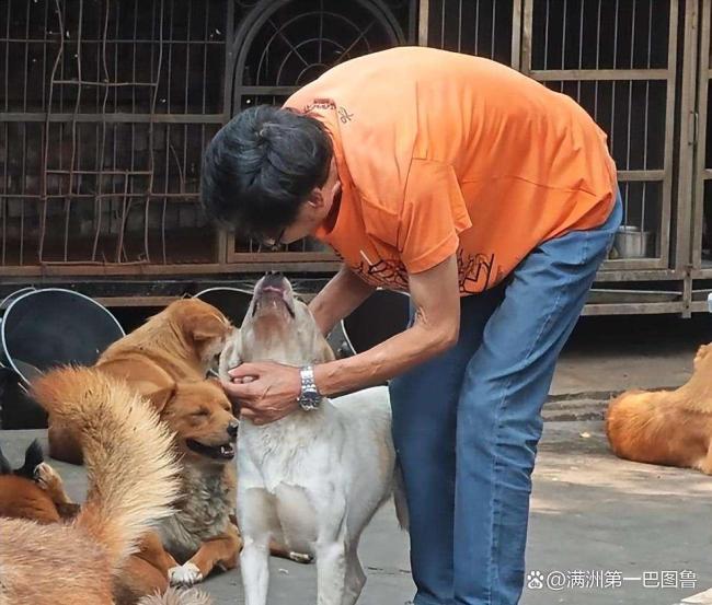 老人家中離世 狗狗不吃不喝守一星期聽到老人家中離世，狗狗不吃不喝守一星期的情況，真的非常令人感動(dòng)和難過。在這種情況下，狗狗可能因?yàn)槭ビH人或者感到悲傷、不安而表現(xiàn)出異常的行為。