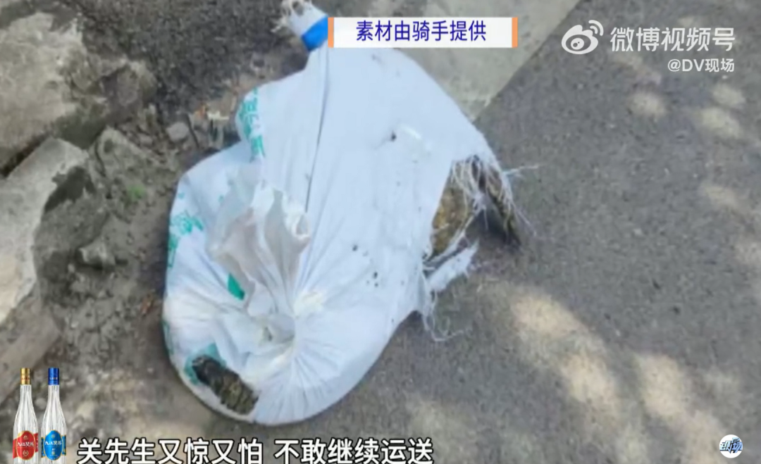 跑腿送鱷魚 半道發(fā)現(xiàn)是活的跑腿送鱷魚，半道發(fā)現(xiàn)是活的？！一探究竟！