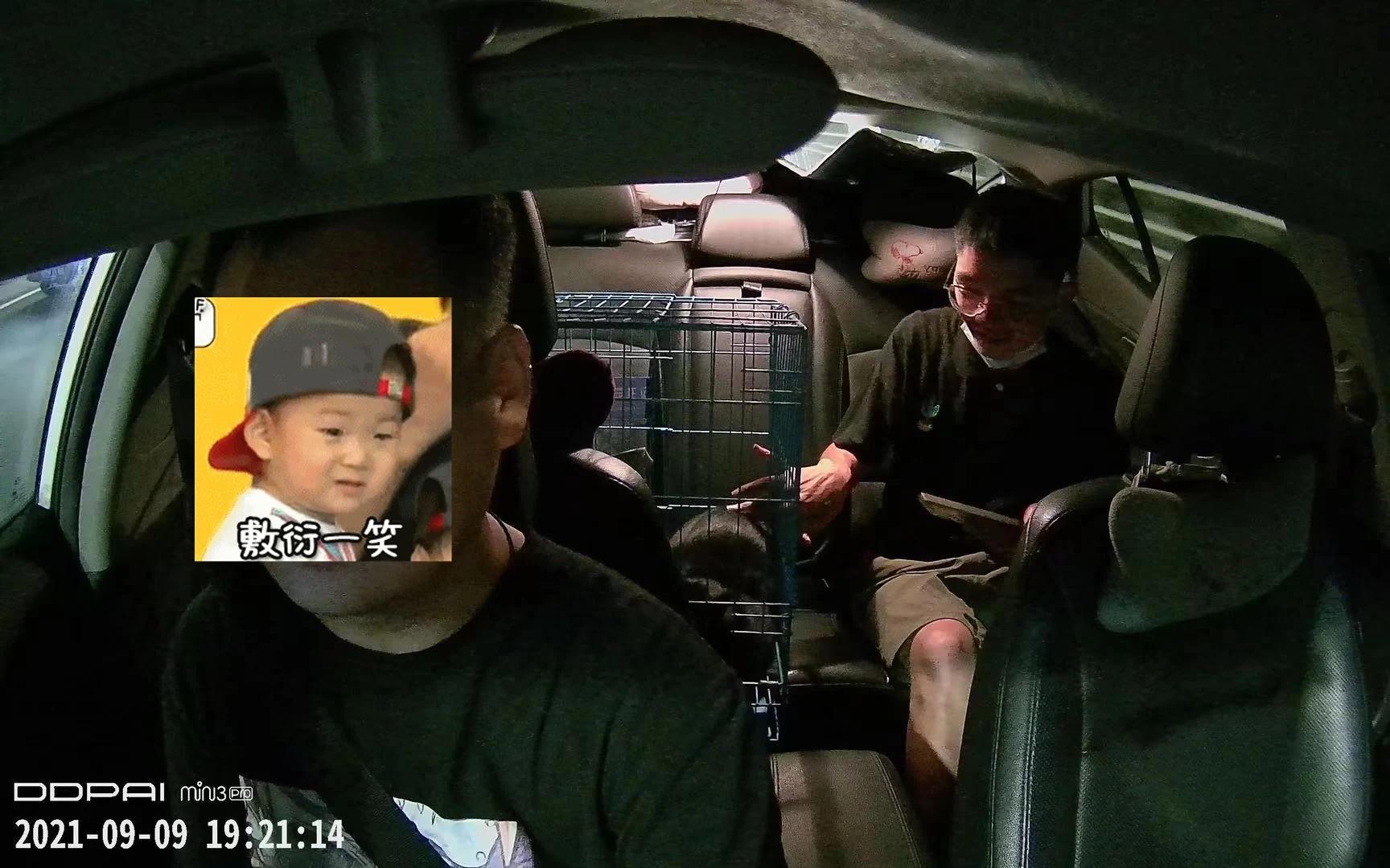 把貓送回老家貓的故事，一場(chǎng)跨越時(shí)空的旅程——把貓送回老家