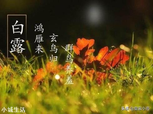 俗話說(shuō)\"白露身不露\"是什么意思？俗話說(shuō)白露身不露，深度解讀背后的智慧與養(yǎng)生之道