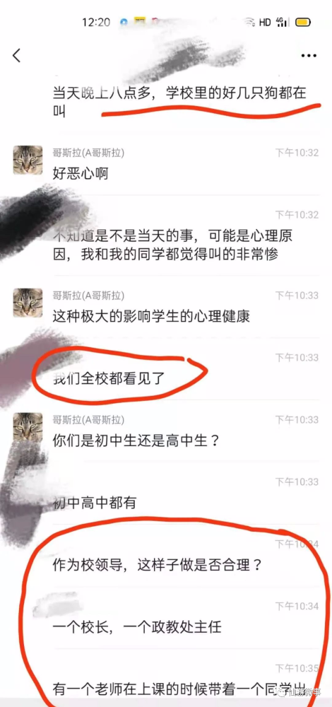 中學(xué)回應(yīng)虐狗事件是哪一集中學(xué)回應(yīng)虐狗事件背后的真相與反思（不建議提及具體集數(shù)）